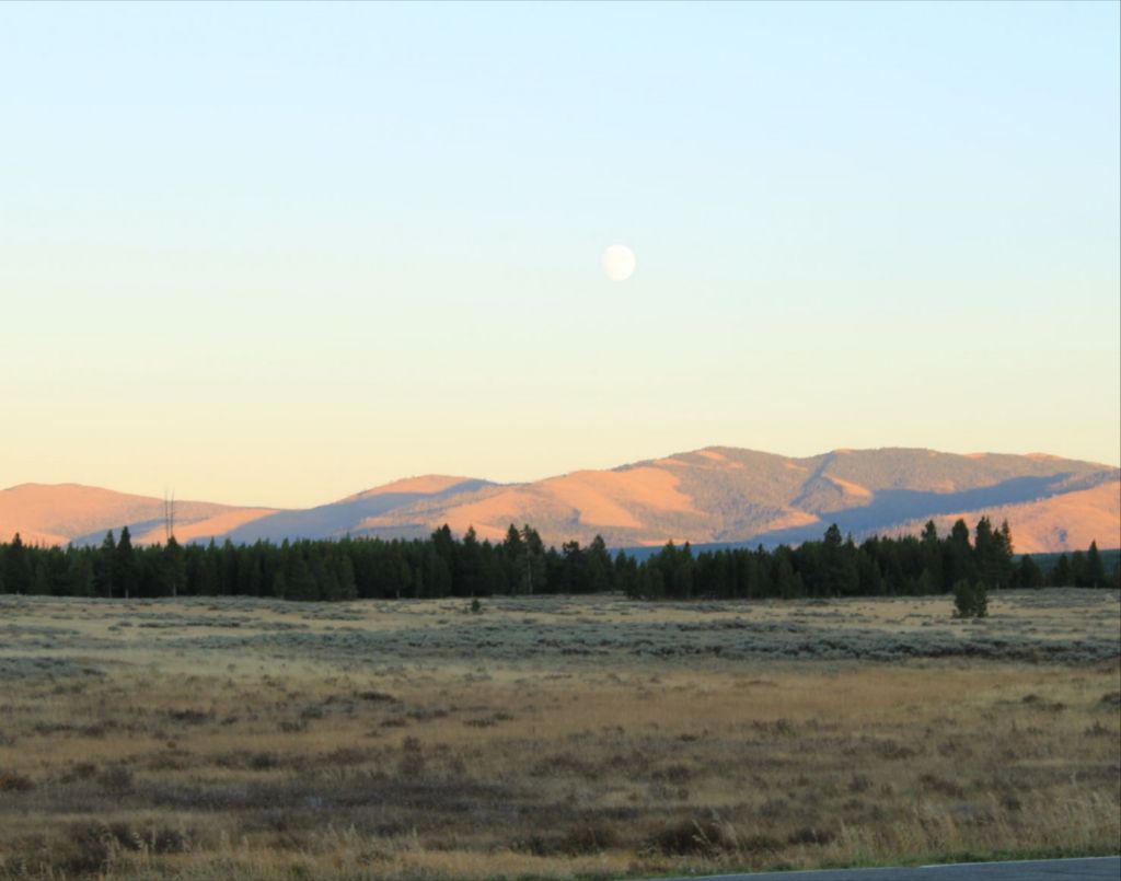 Yellowstone field