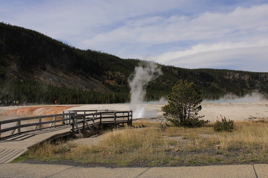 Black Sands Heat vent1 Yellowstone NP