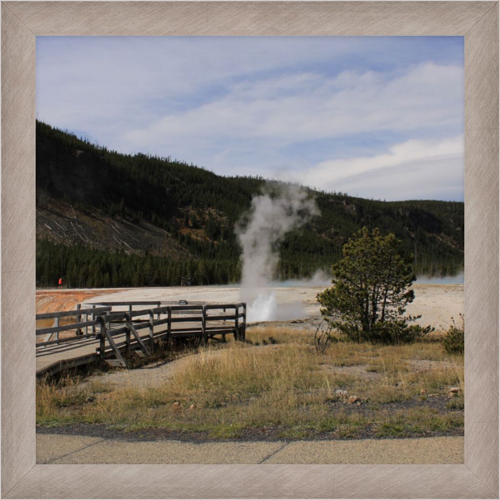 Black Sands Heat vent1 Yellowstone NP