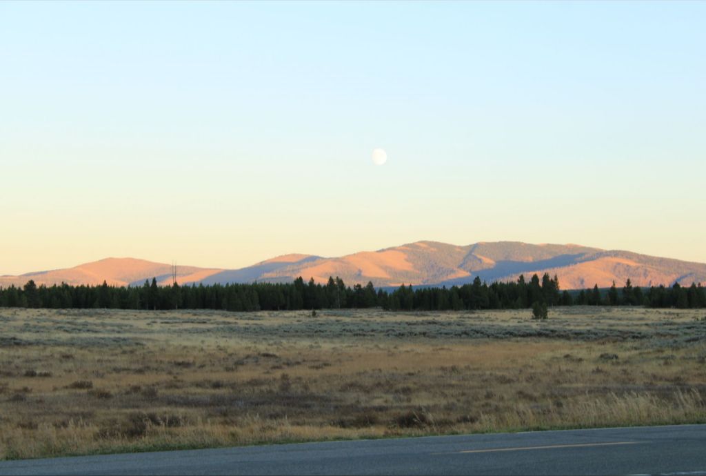 Yellowstone field