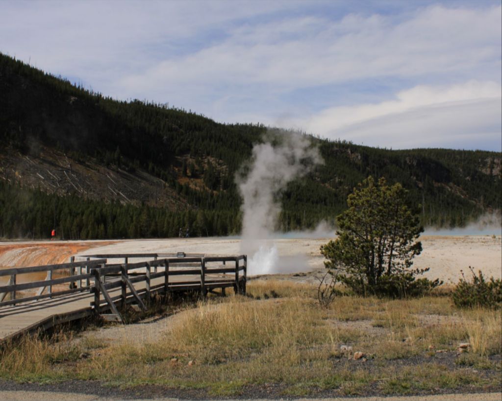 Black Sands Heat vent1 Yellowstone NP