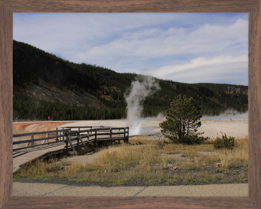 Black Sands Heat vent1 Yellowstone NP