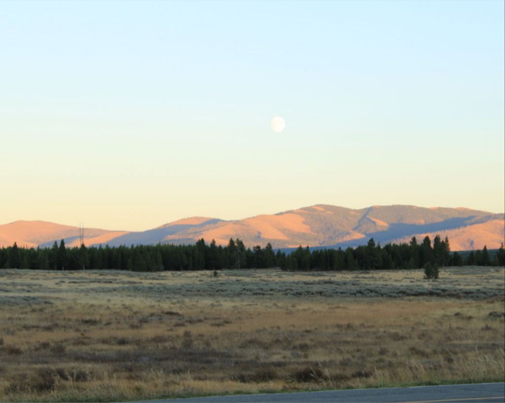 Yellowstone field