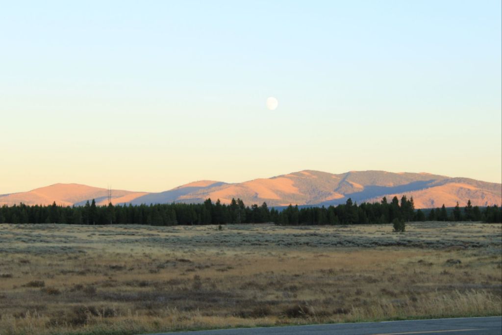 Yellowstone field